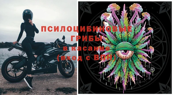 гашик Костерёво