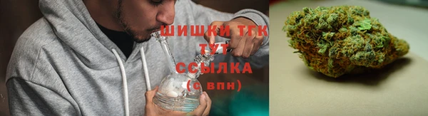 гашик Костерёво