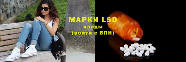 гашик Костерёво