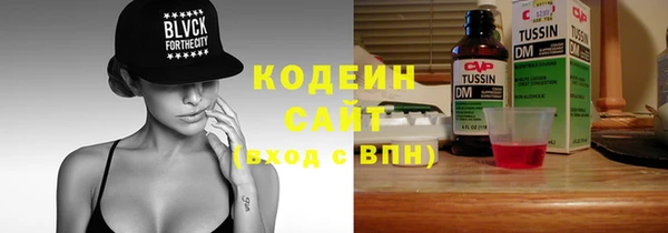 гашик Костерёво