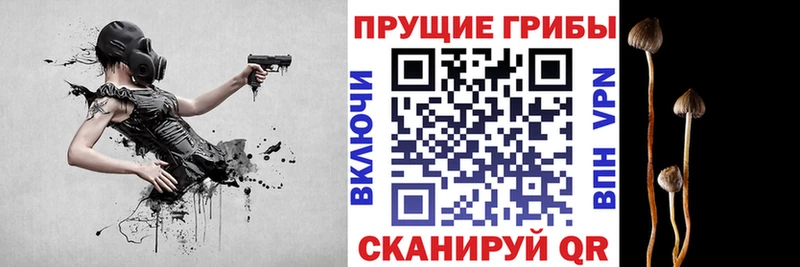 Галлюциногенные грибы GOLDEN TEACHER  Купить закладки  Геленджик 