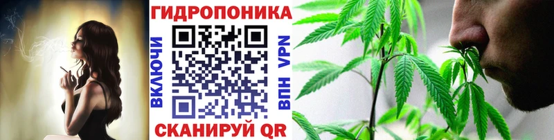 Бошки Шишки White Widow  Купить где  Геленджик 